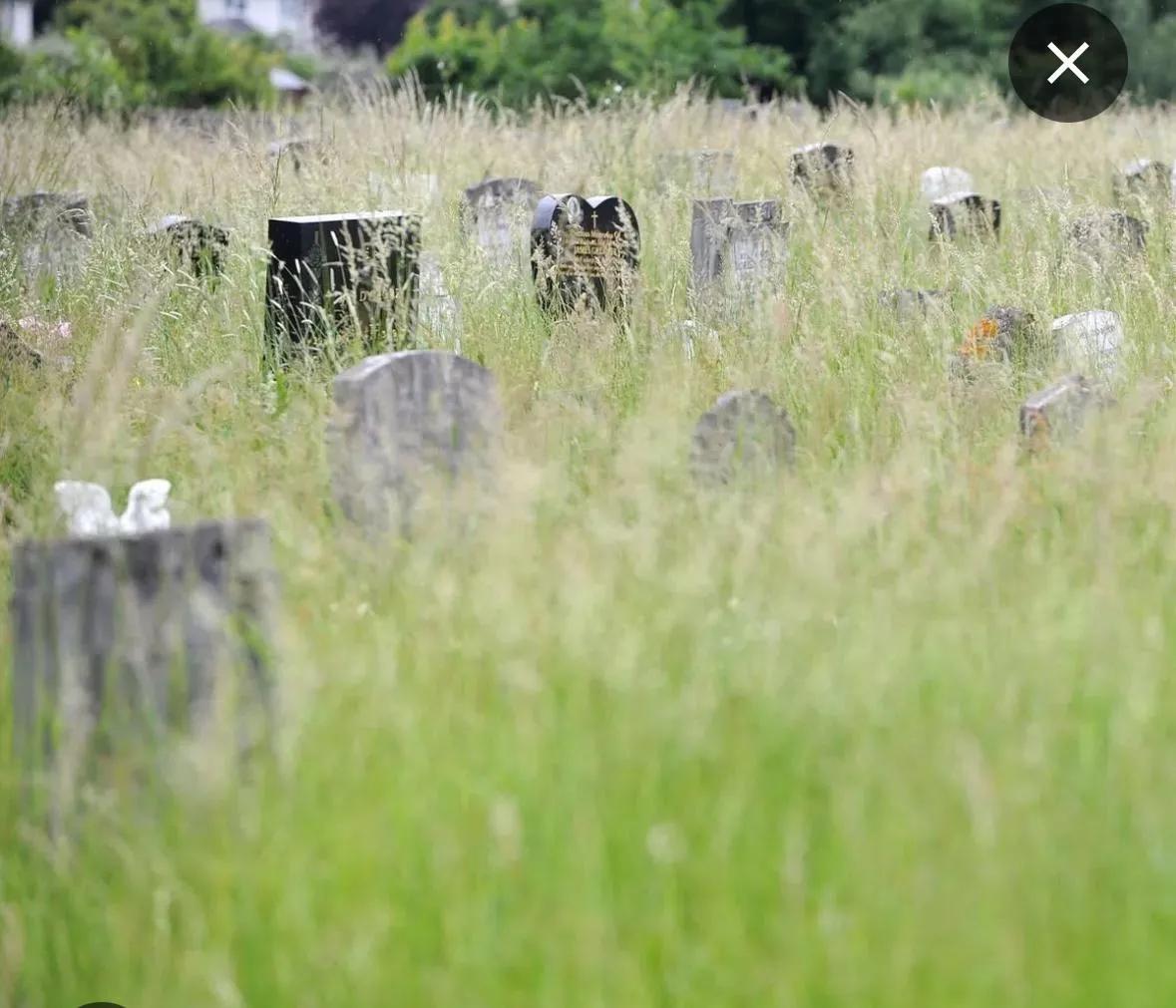 Cemetery Maintenance