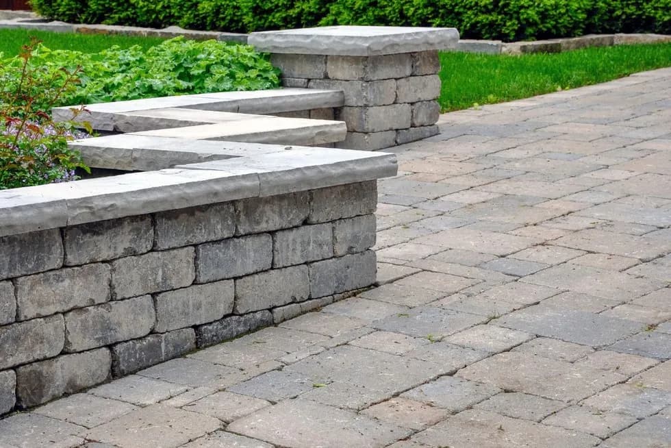 Professional lawn treatment application