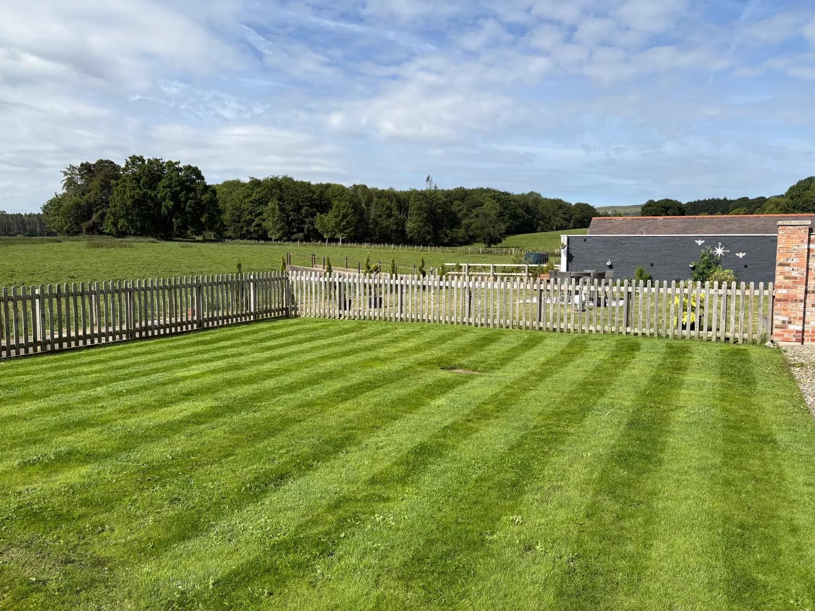 Lawn Renovation Progress