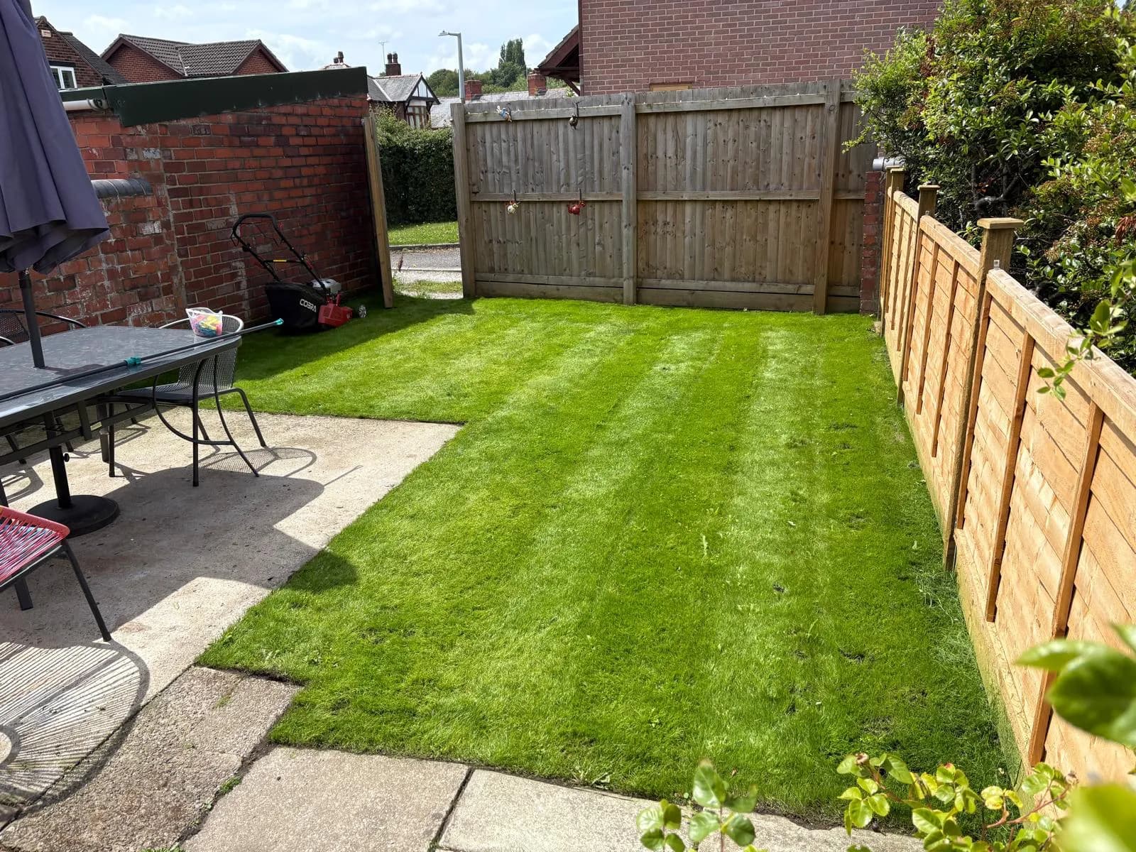 Overseeding & Reseeding