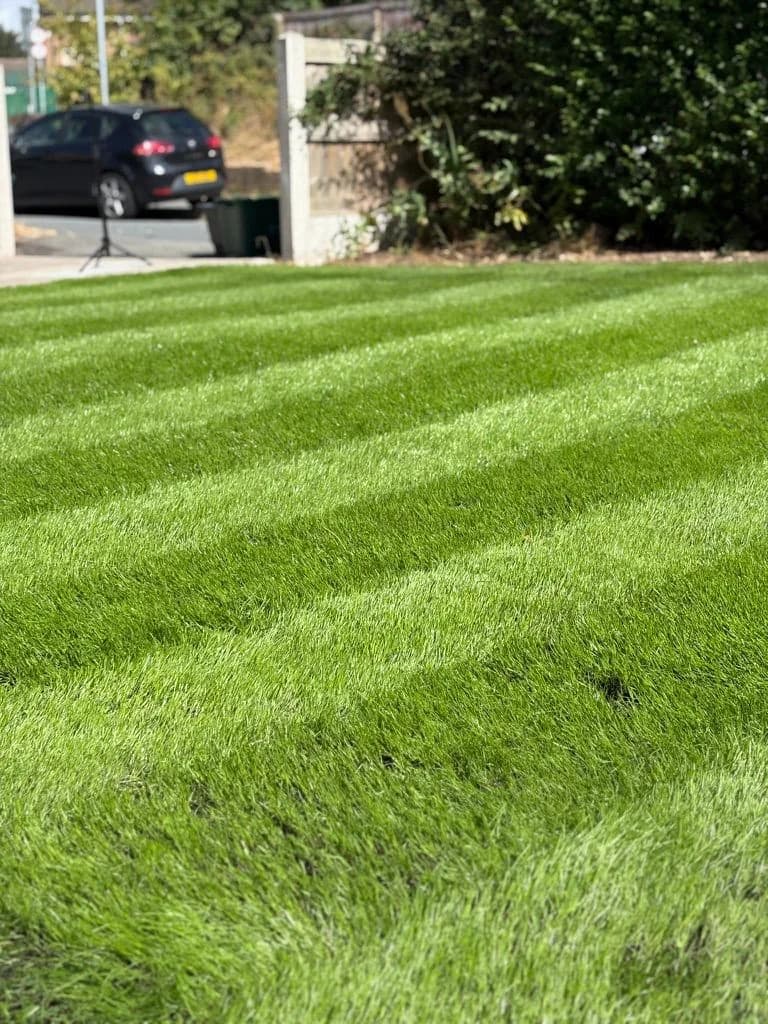 Garden lawn with stripes