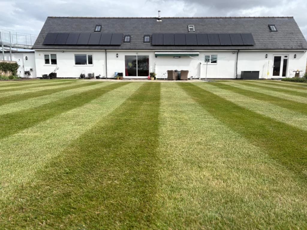 Professional lawn mowing result