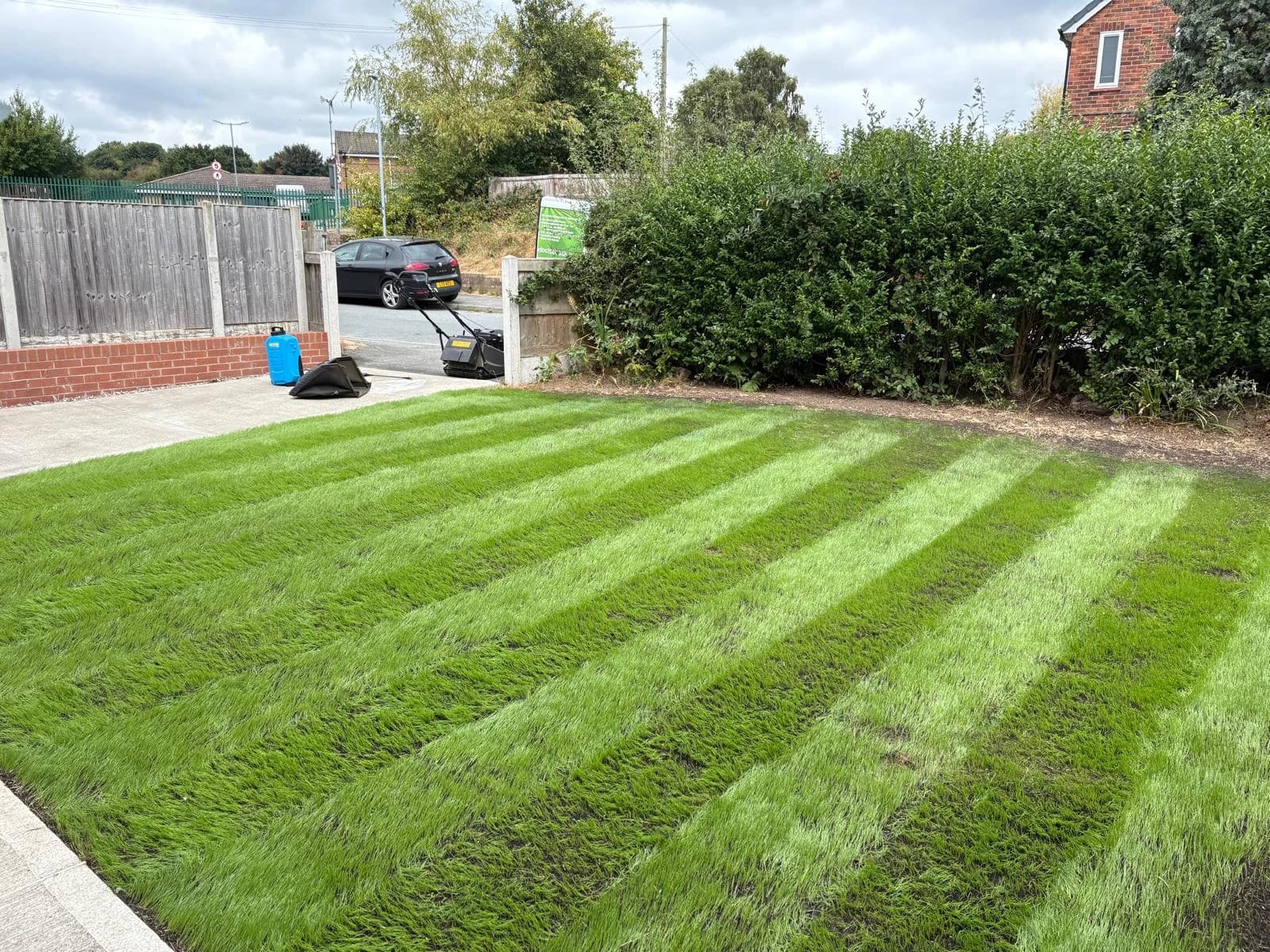 Lawn stripe cut result after renovation
