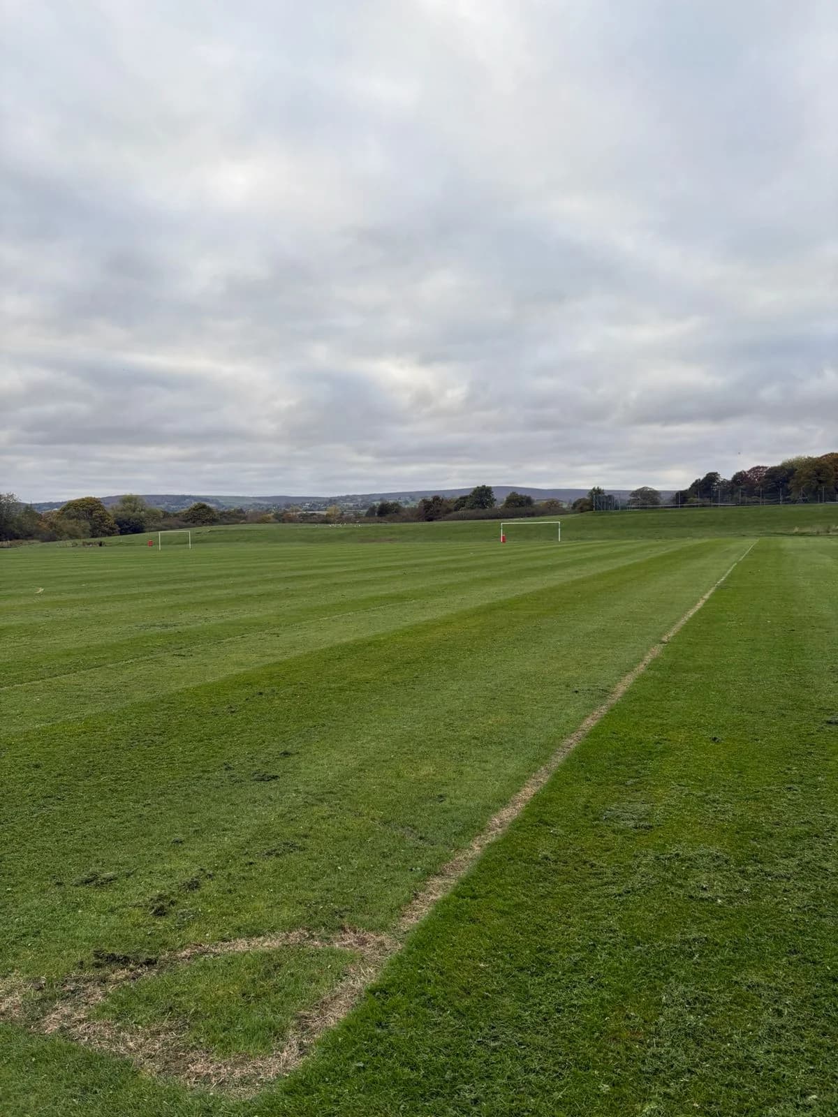 Pitch stripe cut result