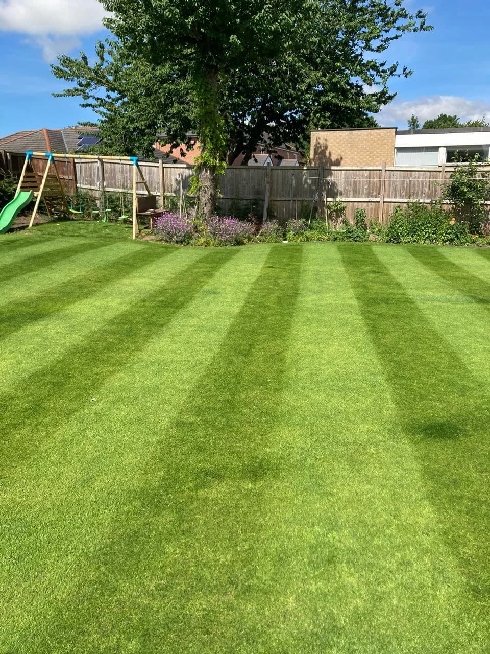 Stripe cut lawn close-up
