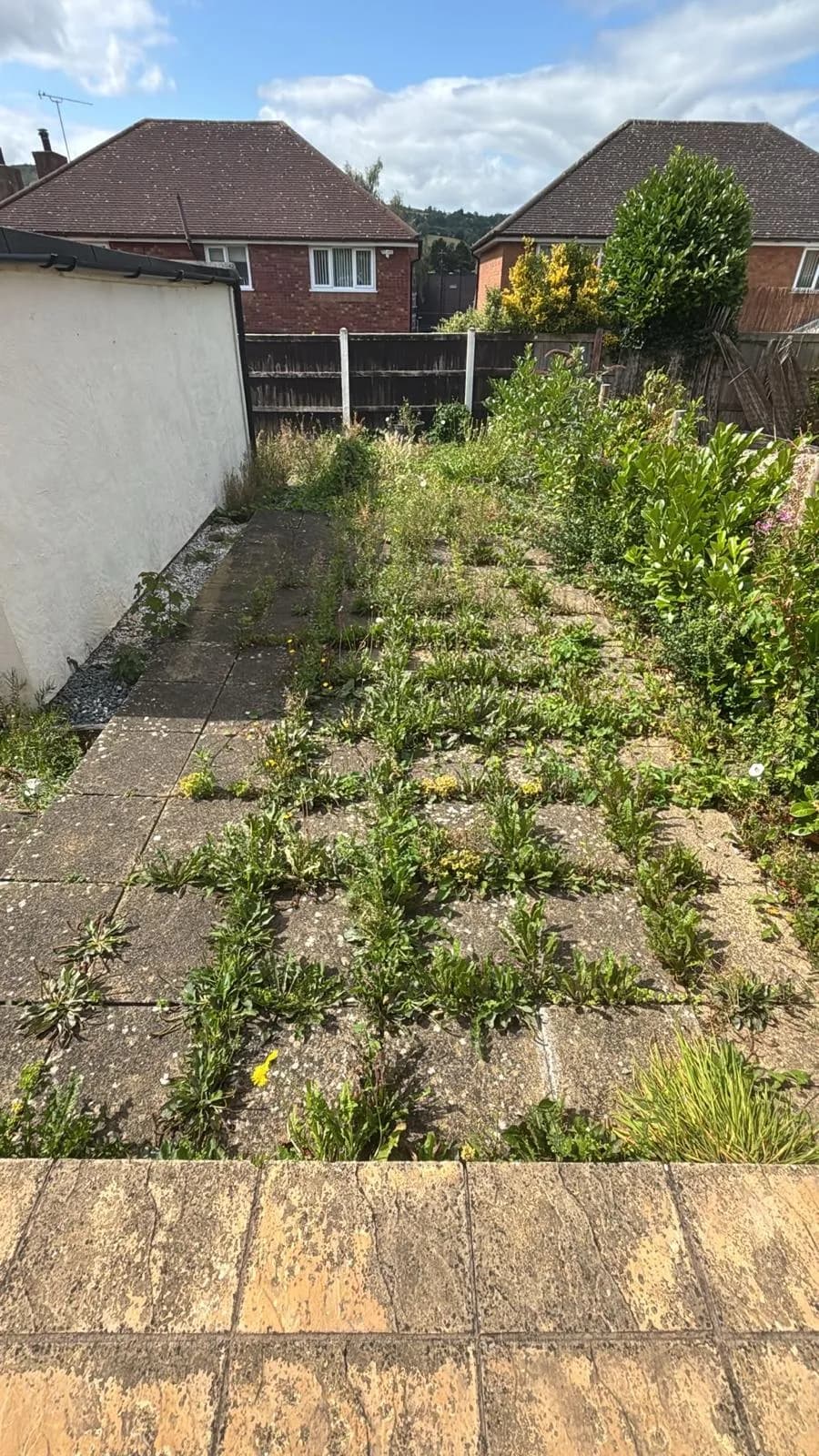 Step 1: Selective Weed Treatment